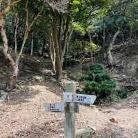 【和歌山】まるでラピュタの世界！神秘的離島！