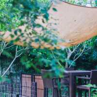Somdul Agroforestry Home 