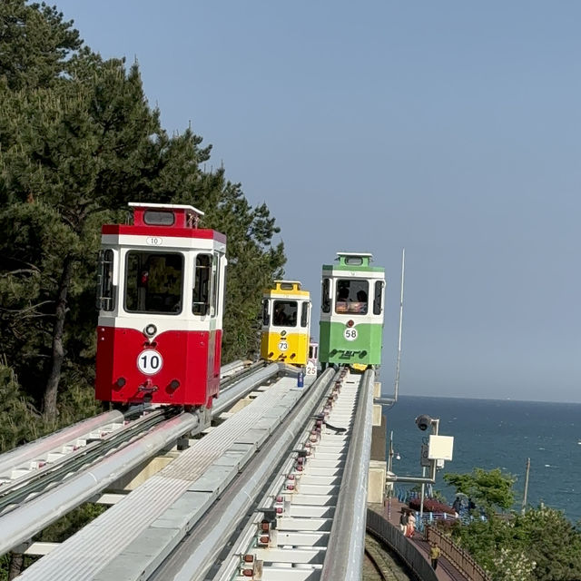 必坐的膠囊小火車