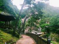 The Okgye Falls 옥계폭포