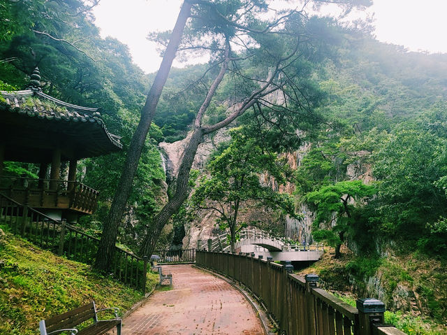 The Okgye Falls 옥계폭포