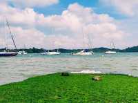 Changi Boardwalk