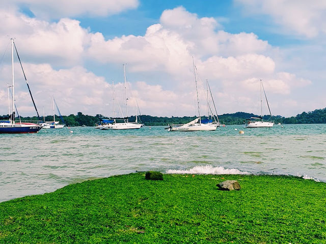 Changi Boardwalk