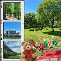 ```東湖公園～適合放鬆的綠色勝地```
