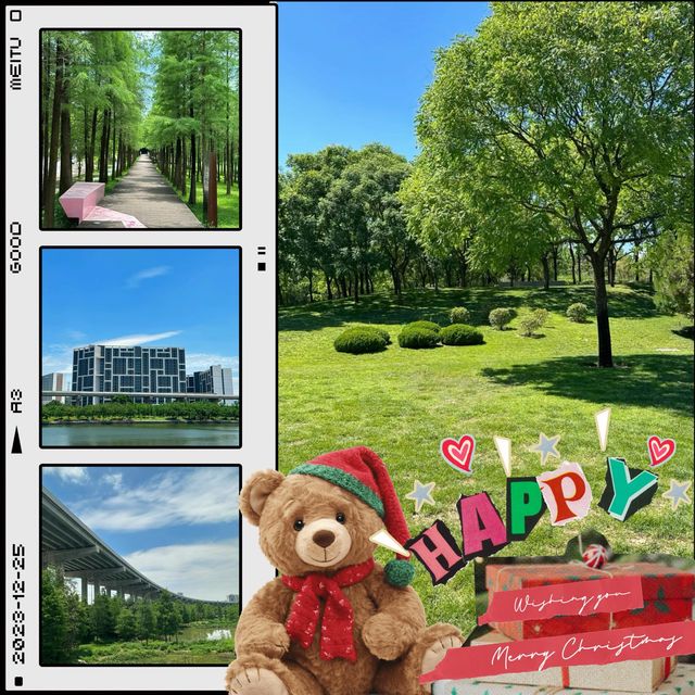 ```東湖公園～適合放鬆的綠色勝地```