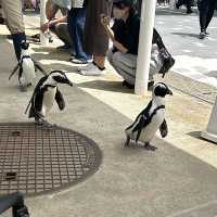 【 福岡之旅。以九州之海為主題的水族館 】 