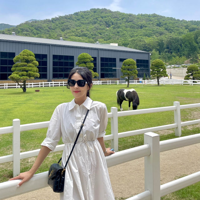 커피 먹으면서 말 타기 체험!