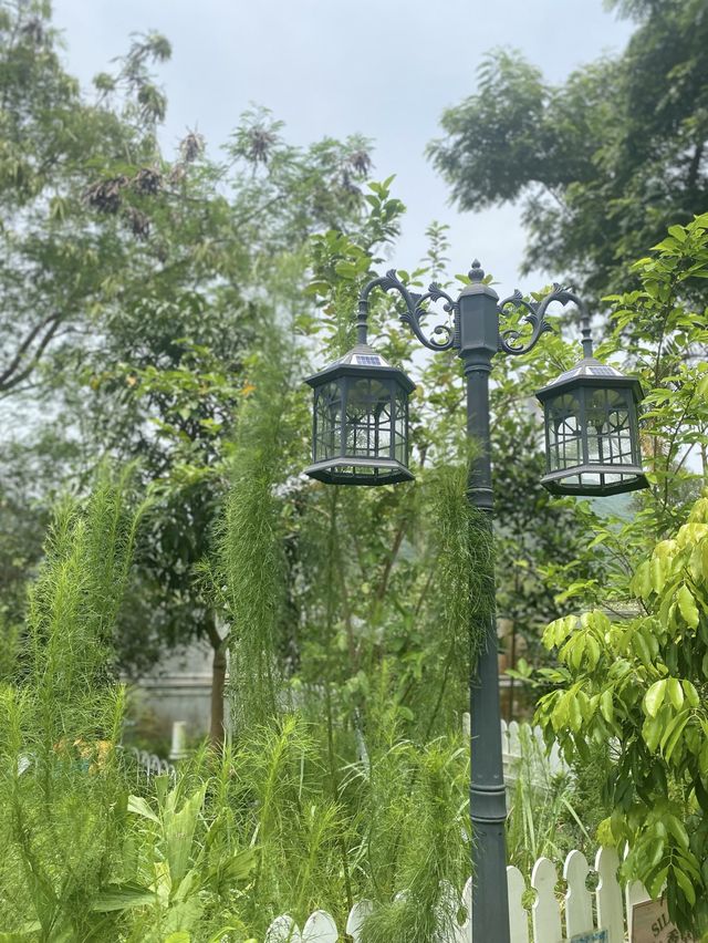 酒店內的香草園 🤍 散發迷人自然氣息
