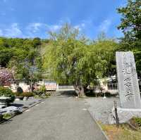 Serene Sanctuary in Wakkanai's Heart