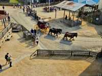 Sovereign Hill