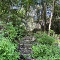 飛鳥山公園：賞花、散步、家庭聚會的理想選擇，寧靜自然樂園