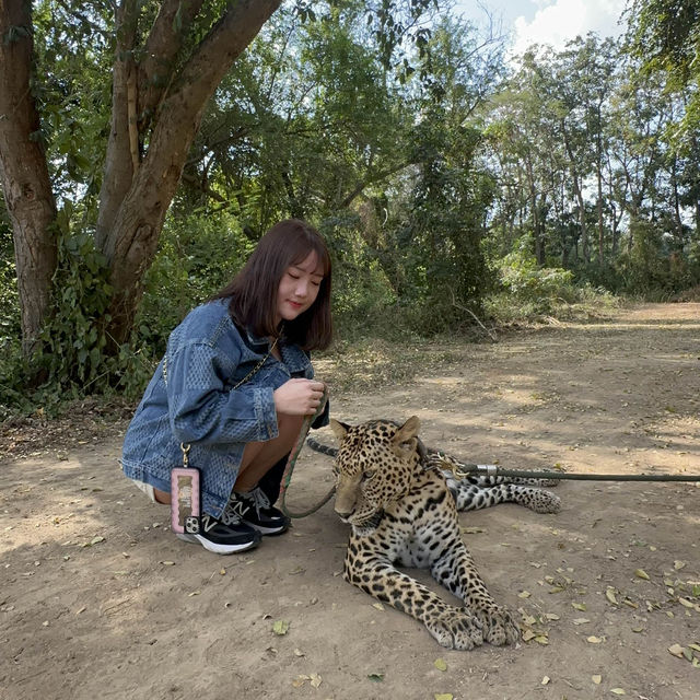 泰好玩🇹🇭 北碧府動物園 出發🚗