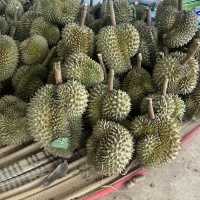 มาเที่ยวเมืองขุนหาญ