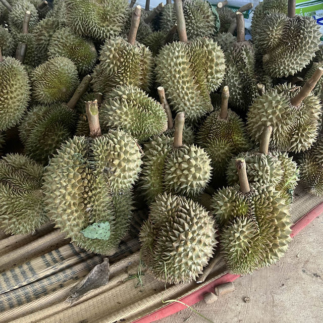 มาเที่ยวเมืองขุนหาญ