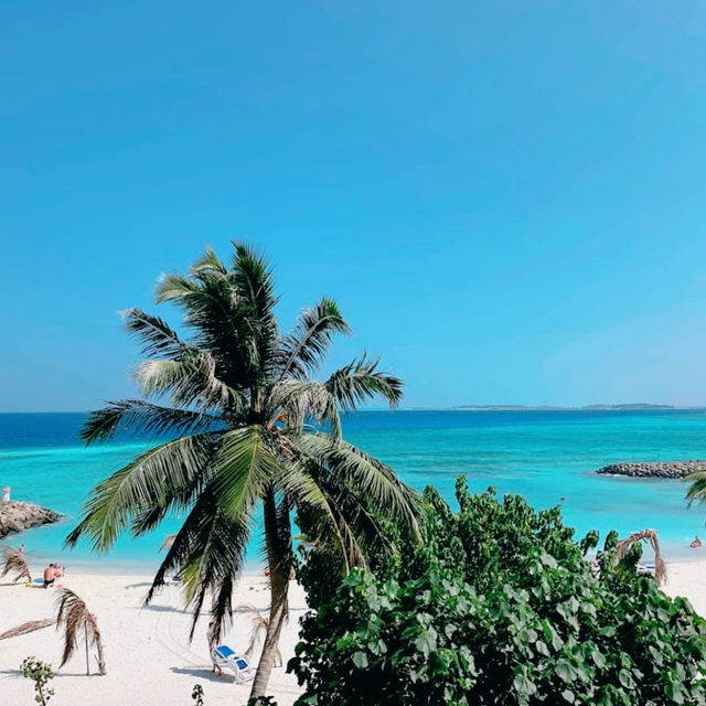 Tropical Bliss: Exploring Maafushi Island 🇲🇻