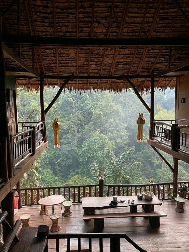 เข้าป่าฤดูฝนเที่ยวบน บ้านต้นไม้ แม่แมะ - เชียงดาว