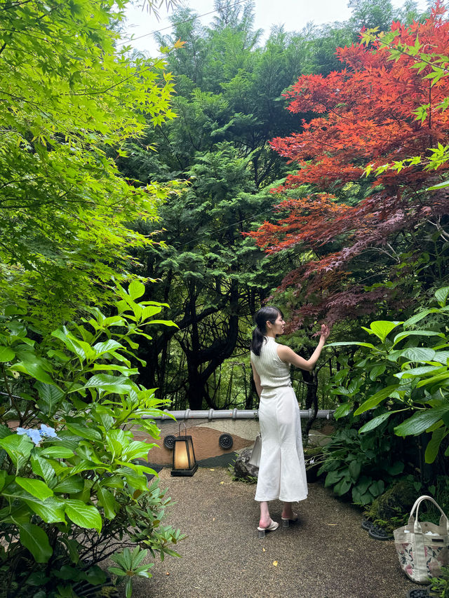 〜神奈川県〜竹林の小径を独り占め！絶景温泉♨️