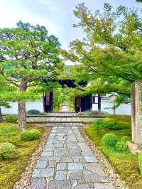 〜京都府〜もはやアート！穴場日本庭園