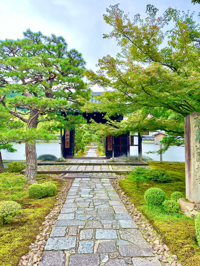 〜京都府〜もはやアート！穴場日本庭園