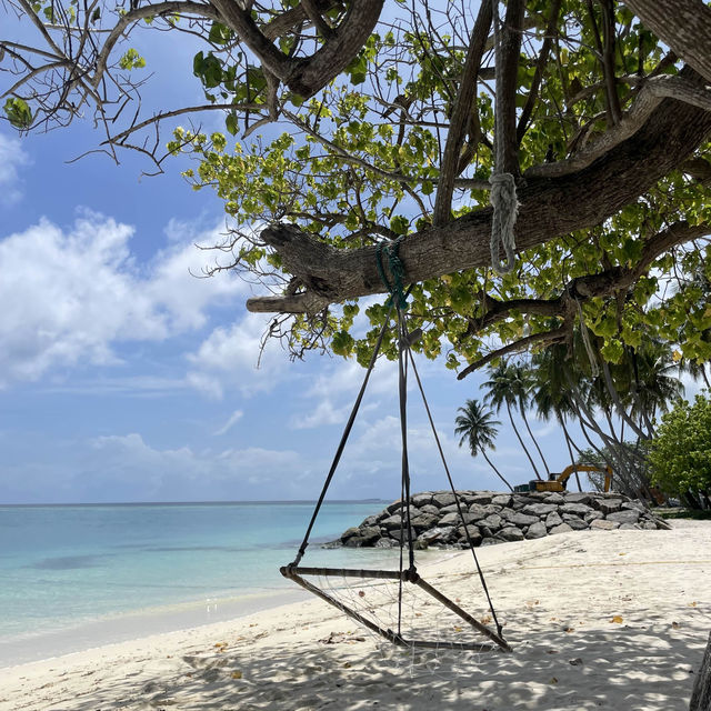 Have I arrived in paradise?