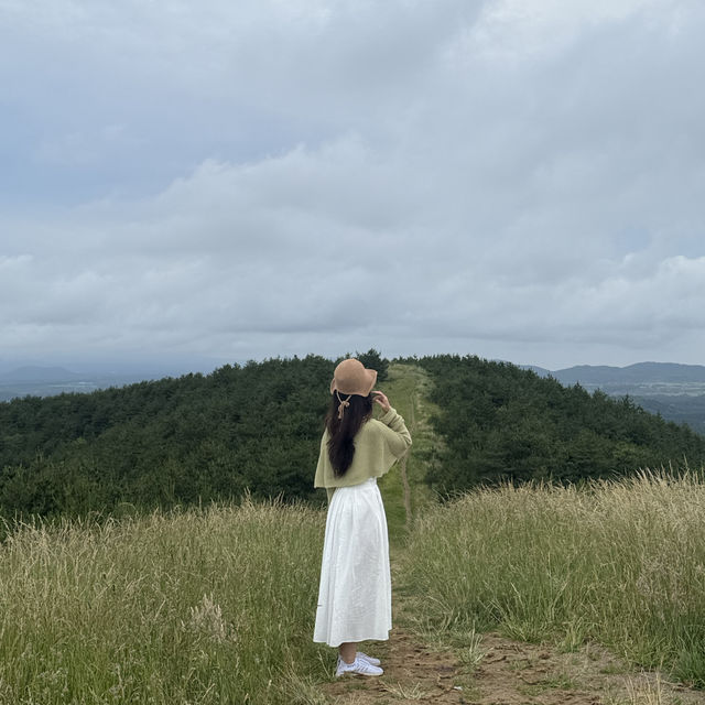 제주에서 가장 예쁜 가볍게 오르기 좋은 오름 ✨