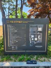 💛아이와 함께하는 경주 여름여행 가볼만한 곳, "경주국립박물관"💛