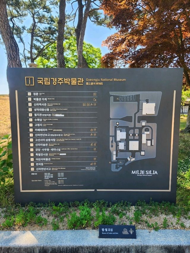 💛아이와 함께하는 경주 여름여행 가볼만한 곳, "경주국립박물관"💛