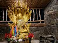 ชมพญานาคเรืองแสง @วัดป่าภูปัง