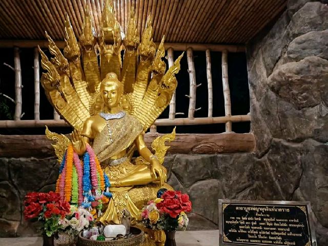 ชมพญานาคเรืองแสง @วัดป่าภูปัง