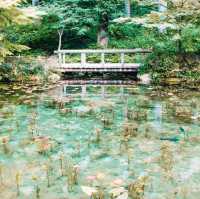 จังหวัด Gifu (岐阜) เมืองแห่งธรรมชาติ  