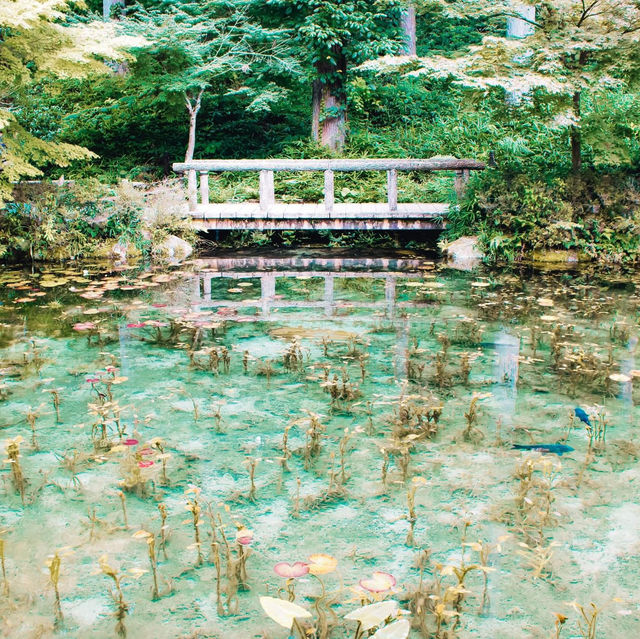 จังหวัด Gifu (岐阜) เมืองแห่งธรรมชาติ  