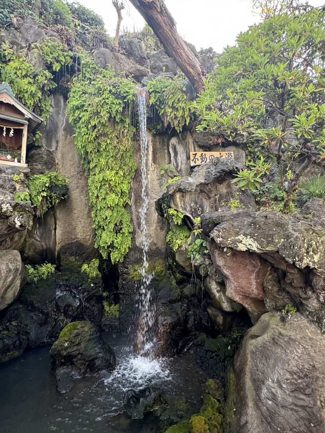 【裏ワザ】浅草花やしきをお得に楽しむ方法！