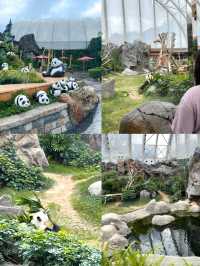 พาชมสัตว์โซนเอเชียที่สวนสนุก Ocean Park 🐒🐼