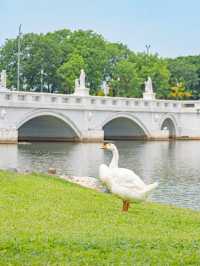 【台湾】台南で行きたい美しすぎる博物館🏛️ 　