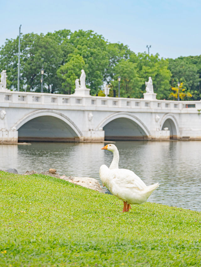 【台湾】台南で行きたい美しすぎる博物館🏛️ 　