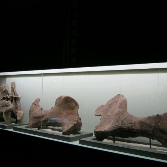 Lufeng World Dinosaur Musuem