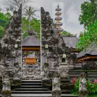 Exploring the Tranquil Charms of Ubud, Bali