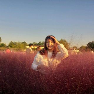 The Dreamlike Pink Muhly Paradise 'Baramsae Village'