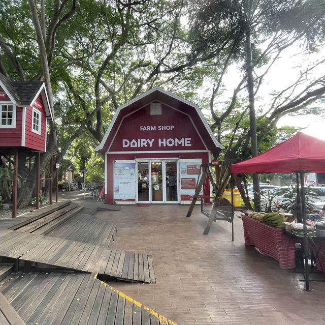 Dairy Home📍คาเฟ่เขาใหญ่