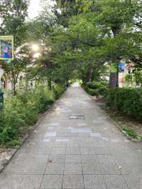 【宝塚】歌劇や手塚治虫記念館など観光の玄関口
