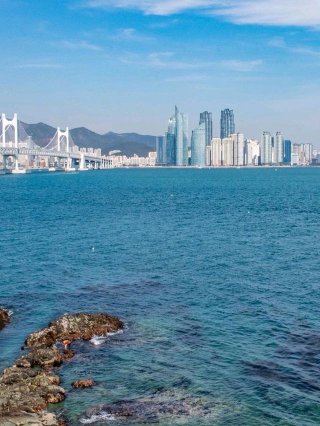 Igidae Park: Coastal Beauty in Busan 🇰🇷🌊