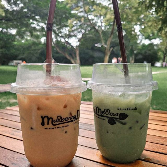 🌳คาเฟ่ในสวน บรรยากาศดี @กาญจนบุรี