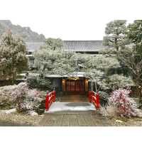 🇯🇵오사카 눈 오는 Amami Onsen Nanten-en