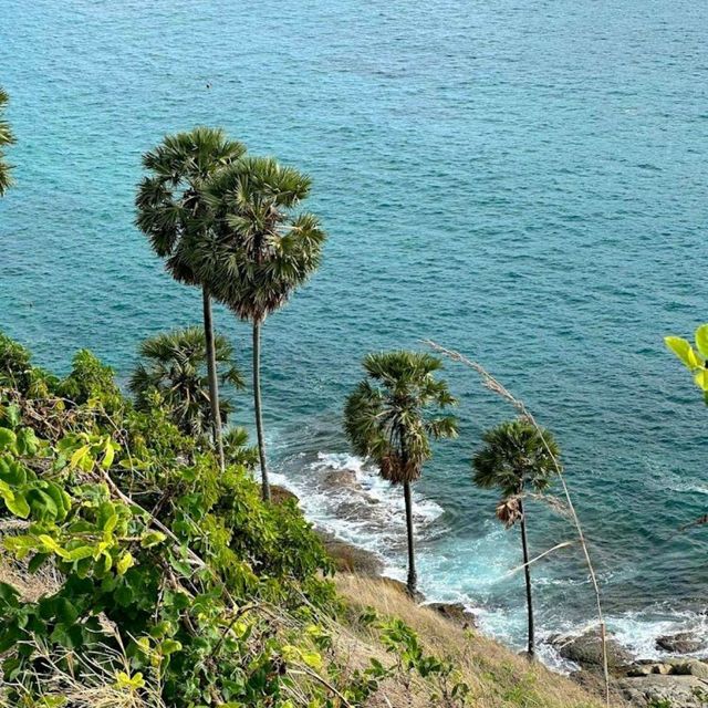 Windmill Viewpoint