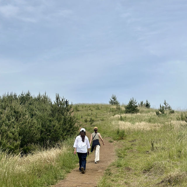 제주여행🏝️ 아홉번째 오름, 유네스코 세계문화유산 지정 용눈이오름🐉 