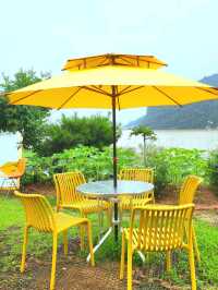 경주 드라이브 코스 바실라 카페