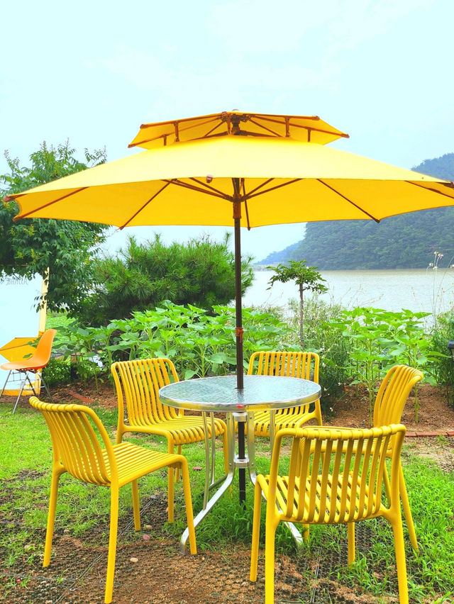 경주 드라이브 코스 바실라 카페 경주 드라이브 코스 바실라 카페