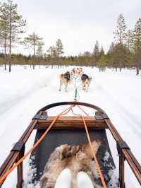 📍Arctic Circle Husky Park
