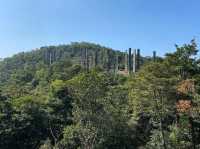 【香港】挑戰與美景並存！徒步鳳凰山，俯瞰大佛，機場和城市。適合任何時間和場景