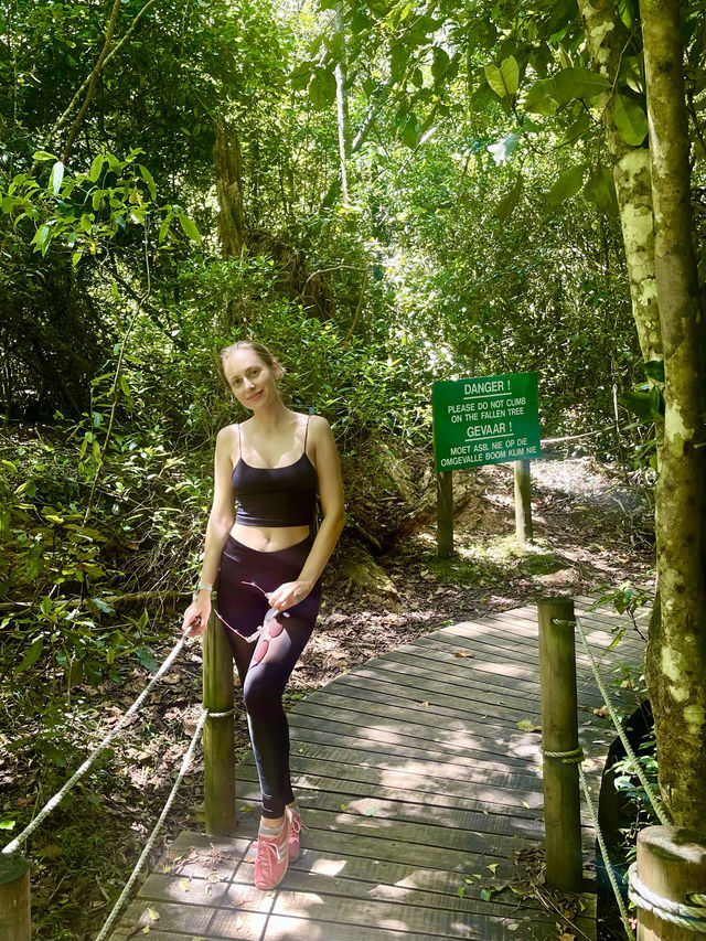 🌳 Discover the Wilderness of Tsitsikamma National Park 